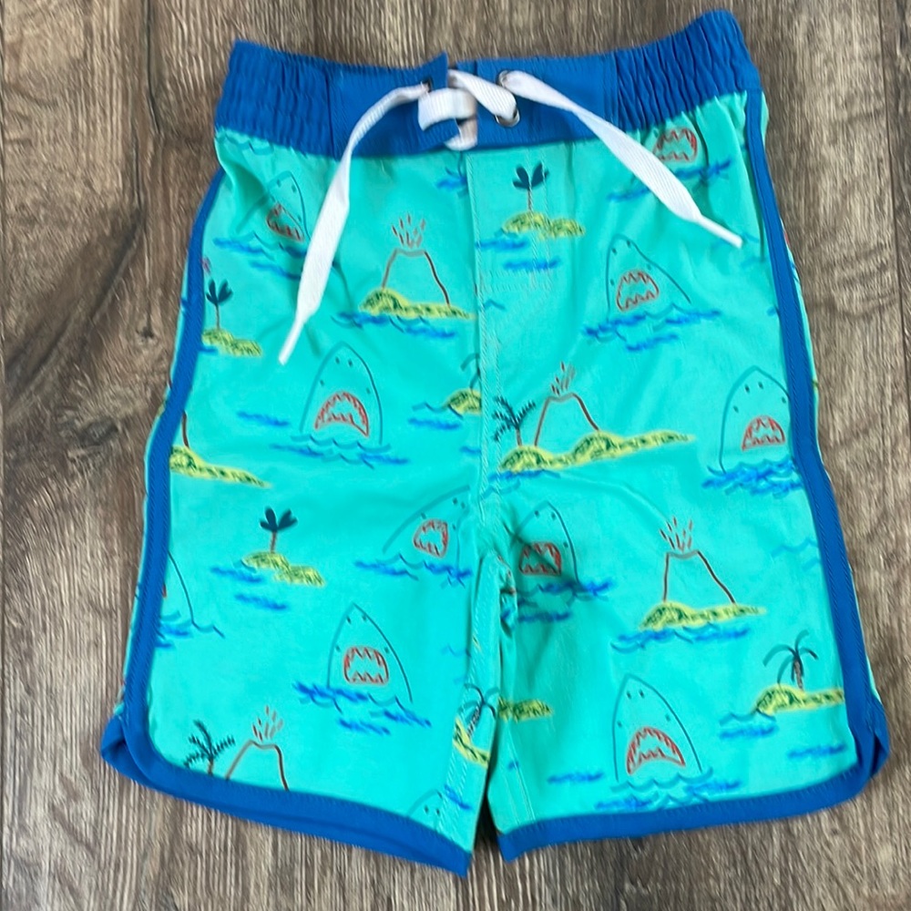 Hannah Anderson board shorts swim trunks size 2T